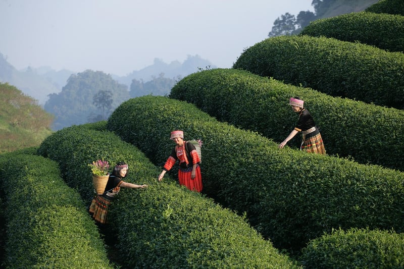 Time Warp Experiences